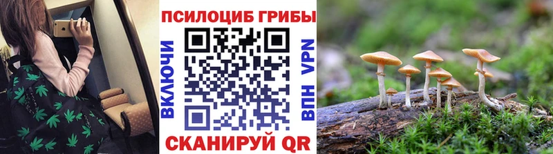 Купить где  Донецк  Псилоцибиновые грибы MAGIC MUSHROOMS 